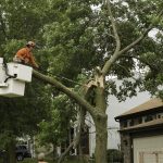 Storm Damage Roof Repair in Weatherford TX